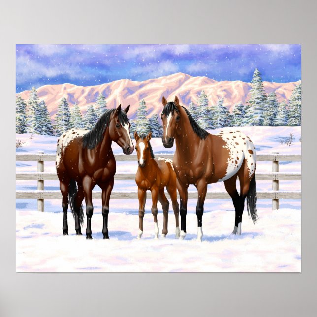 Poster Chevaux Appaloosa De Baie Brown En Neige (Devant)
