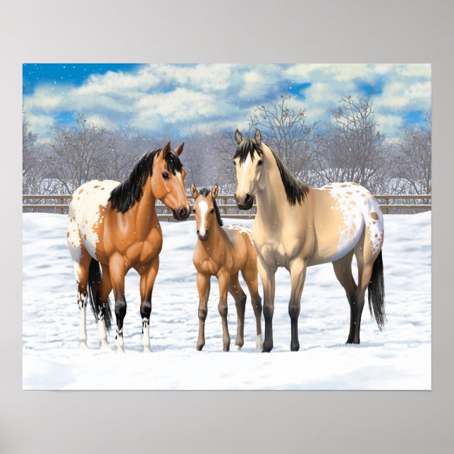 Poster Chevaux Appaloosa En Peau De Bouche En Neige (Devant)