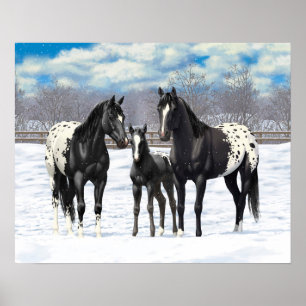 Poster Chevaux Appaloosa Noir En Neige