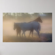 Chevaux dans la brume du matin