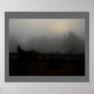 Poster Chevaux dans le brouillard