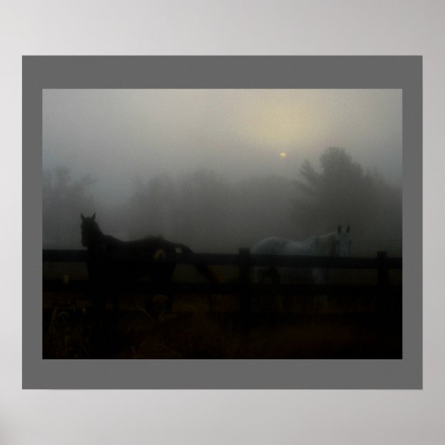 Poster Chevaux dans le brouillard (Devant)