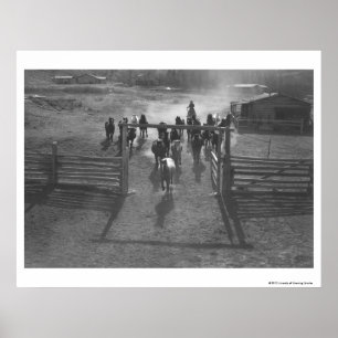 Poster Chevaux dans le corral