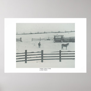 Poster Chevaux dans le corral de Milou