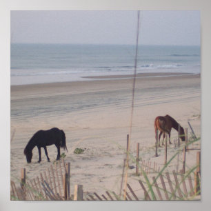 Poster Chevaux dans le sable