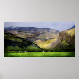 Poster Chevaux de course Islande