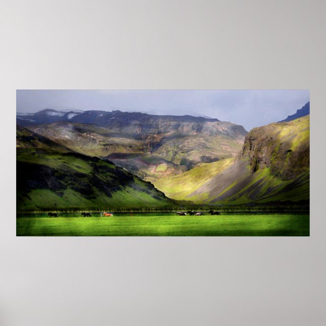 Poster Chevaux de course Islande (Devant)