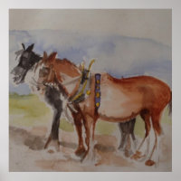 Chevaux de la mer à la patte