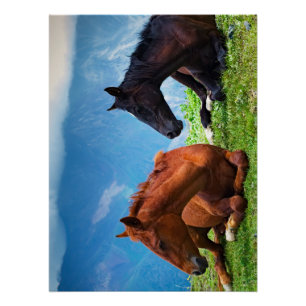 Poster Chevaux de Moody Mountain : Un voyage d'art raffin