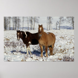 Poster Chevaux de peinture dans la neige
