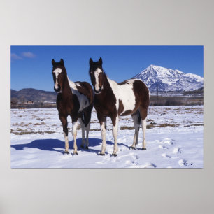 Poster Chevaux de peinture debout dans la neige