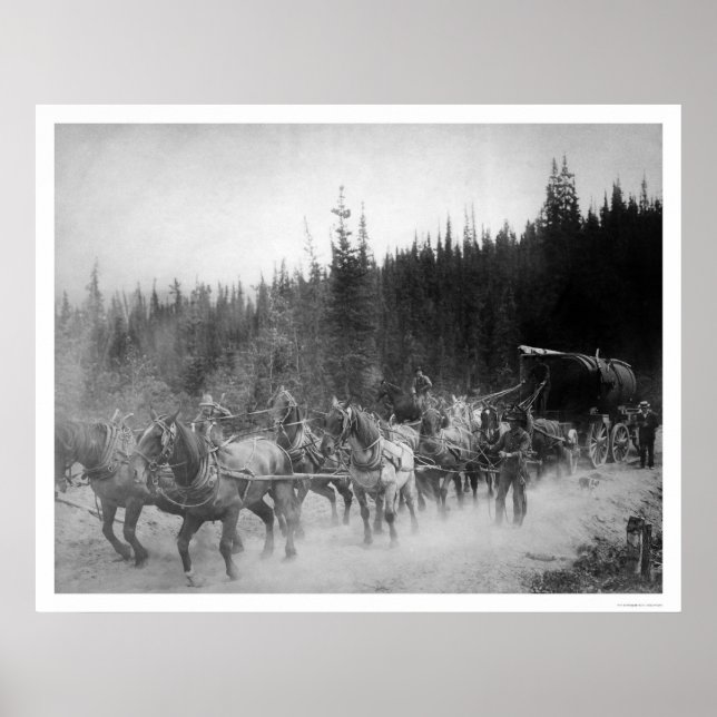 Poster Chevaux de sentiers terrestres Alaska 1908 (Devant)