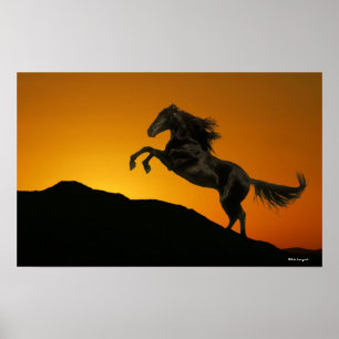 Poster Chevaux d'Imaginaire : Coucher de soleil de montag