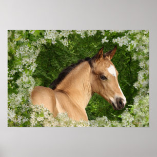 Poster Chevaux d'Imaginaire : Fleurs