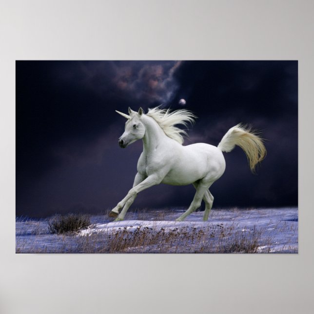 Poster Chevaux d'Imaginaire : Unicorne (Devant)