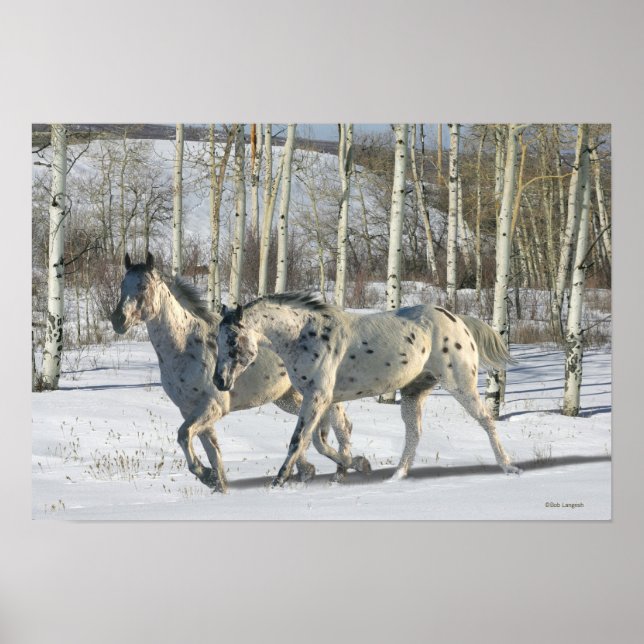 Poster Chevaux d'Imaginaire : Wonderland d'hiver (Devant)