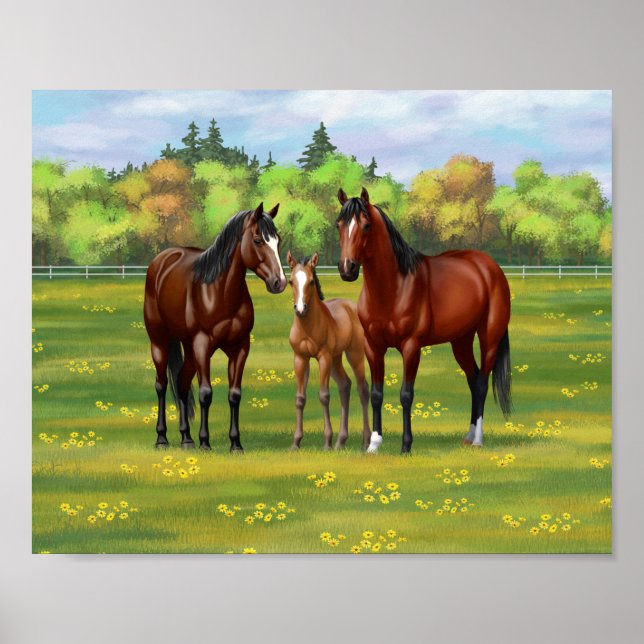 Poster Chevaux Du Quartier De La Baie Brown Dans Les Pâtu (Devant)