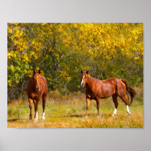 Poster Chevaux en automne