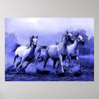 Chevaux en Bleu Night