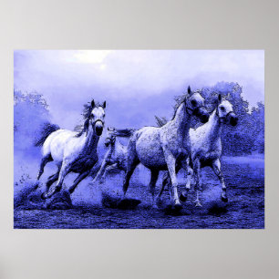 Poster Chevaux en Bleu Night