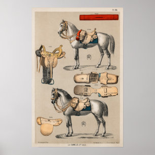 Poster Chevaux et selles