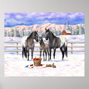 Poster Chevaux Grulla Grey Appaloosa Sur Une Ferme À Neig