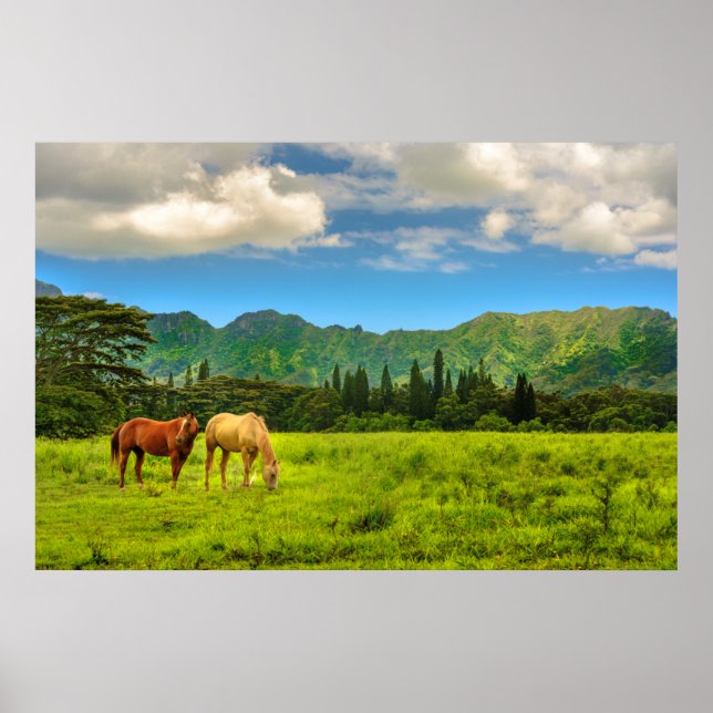 Poster Chevaux hawaïens, Hokulei Peak, Kauai, Hawaii (Devant)