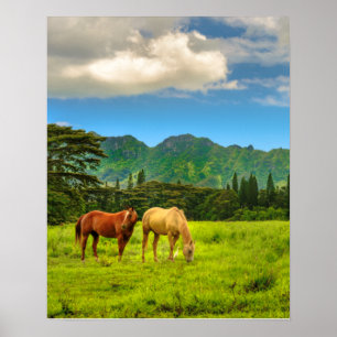 Poster Chevaux hawaïens, Hokulei Peak, Kauai, Vertical