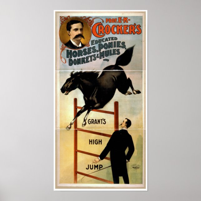 Poster Chevaux instruits, poneys, ânes et Mules (Devant)