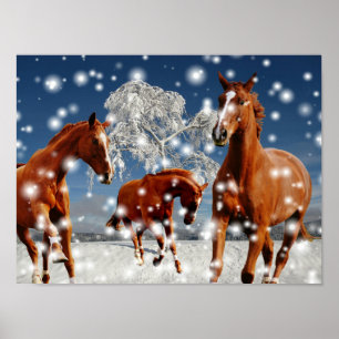 Poster Chevaux jouant dans la neige