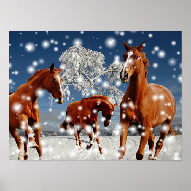 Poster Chevaux Jouant Dans La Neige (Devant)