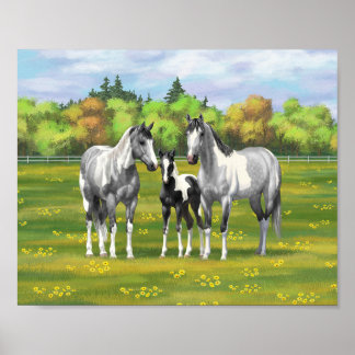 Poster Chevaux Paint Pinto Gris Pommelé Dans Le Pâturage