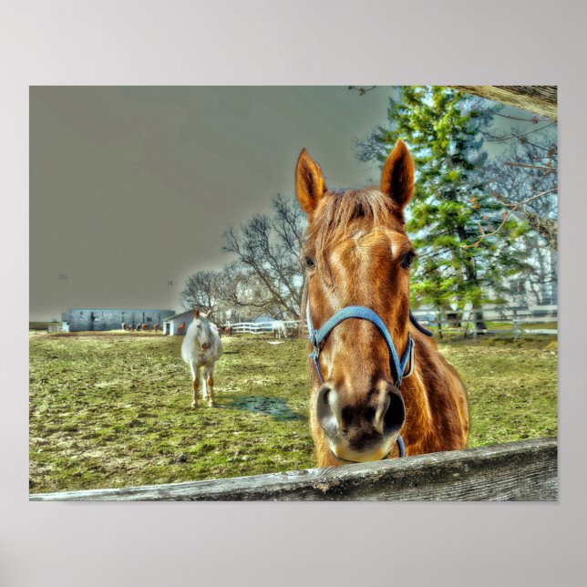 Poster Chevaux Pays rustique Ferme équestre de l'Ouest (Devant)