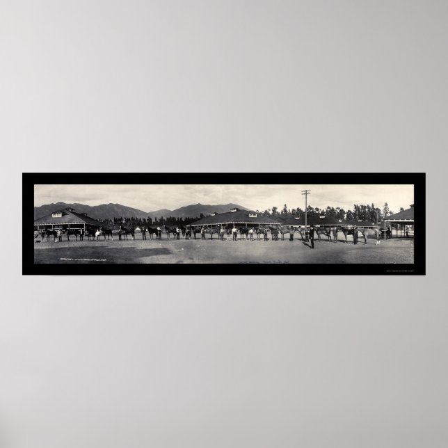 Poster Chevaux Père Noël Anita Photo 1908 (Devant)