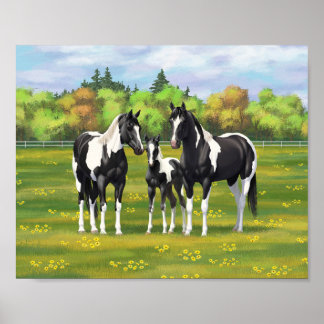 Poster Chevaux Quarter Horse Paint Pinto Noirs En Pâturag