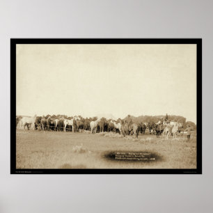 Poster Chevaux roulés par Cowboys SD 1887