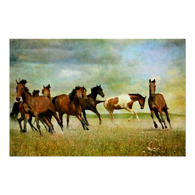Poster Chevaux sauvages (Devant)