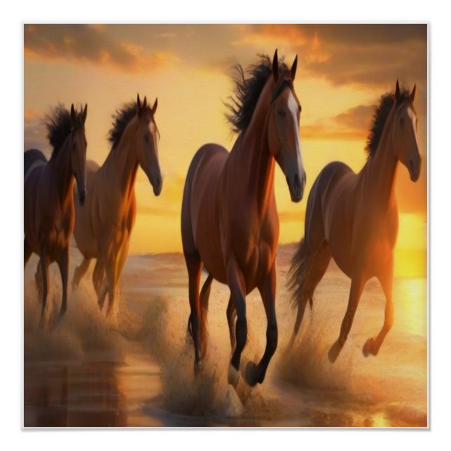 Poster Chevaux sauvages au soleil couchant Splendor (Devant)