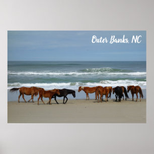 Poster Chevaux sauvages Banques extérieures OBX Corolla N