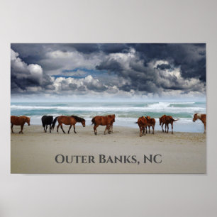Poster Chevaux sauvages Corolla Outer Banks NC
