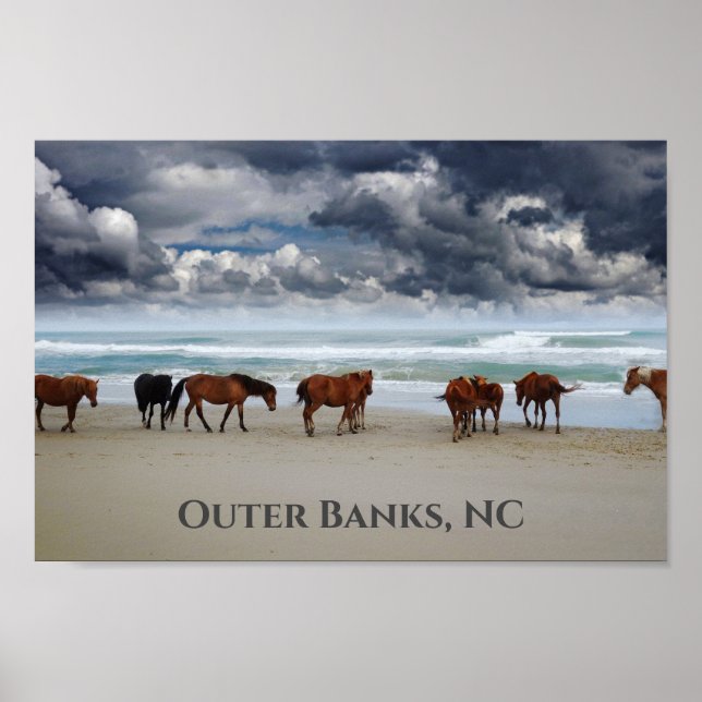 Poster Chevaux sauvages Corolla Outer Banks NC (Devant)