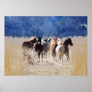 Poster Chevaux sauvages courant