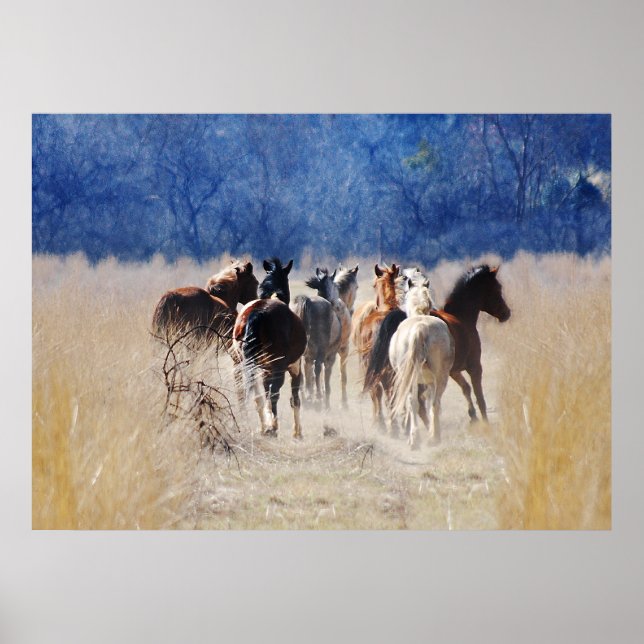 Poster Chevaux sauvages courant (Devant)