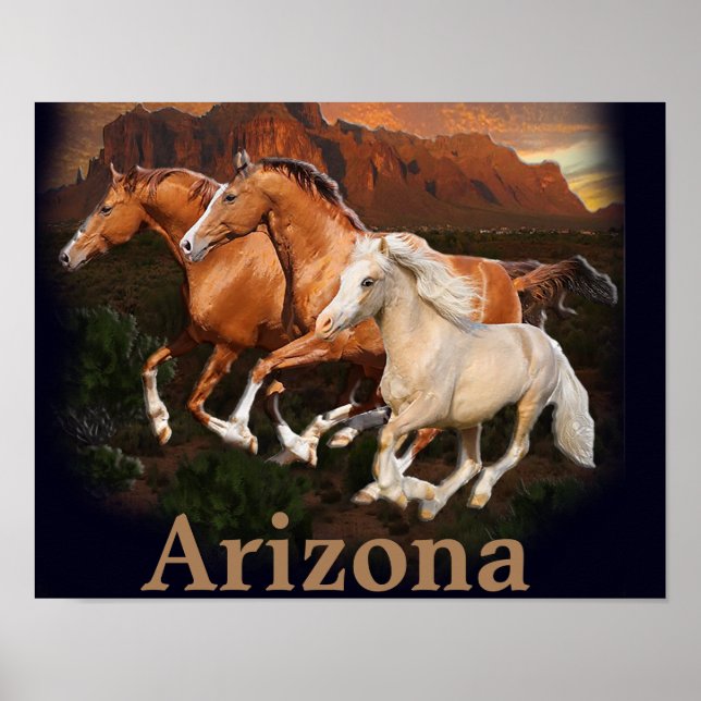 Poster Chevaux sauvages d'Arizona (Devant)