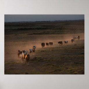 Poster Chevaux Sauvages Marchant Vers Le Désert