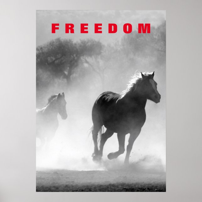 Poster Chevaux sauvages Motivation Liberté Art (Devant)