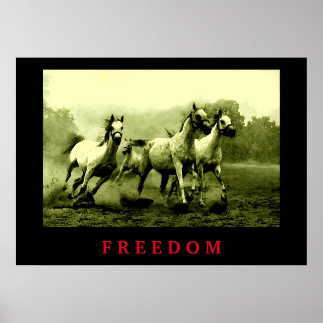 Poster Chevaux sauvages Motivation Liberté Art (Devant)