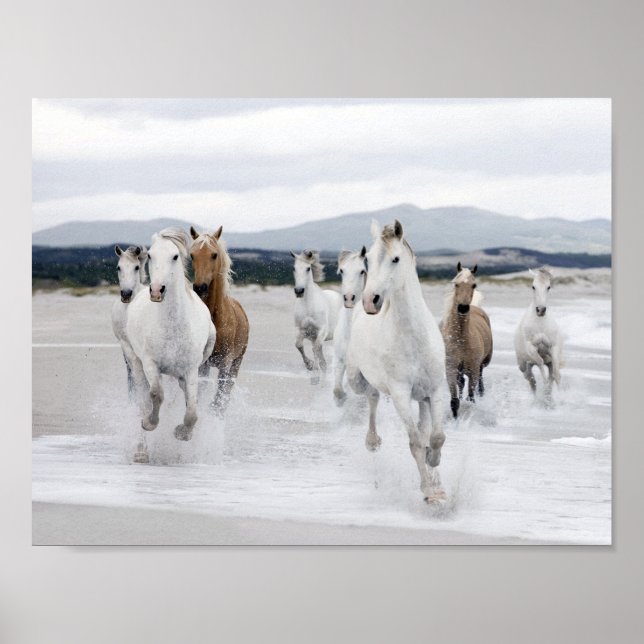 Poster Chevaux sauvages qui courent sur la plage (Devant)