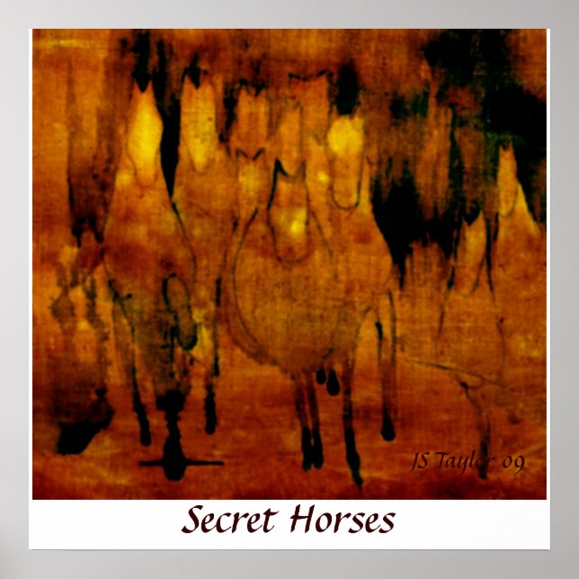 Poster Chevaux secrets (Devant)