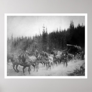 Poster Chevaux sur terre Alaska 1908 de traînée